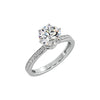 2 ct Bloom Secret Halo Ring